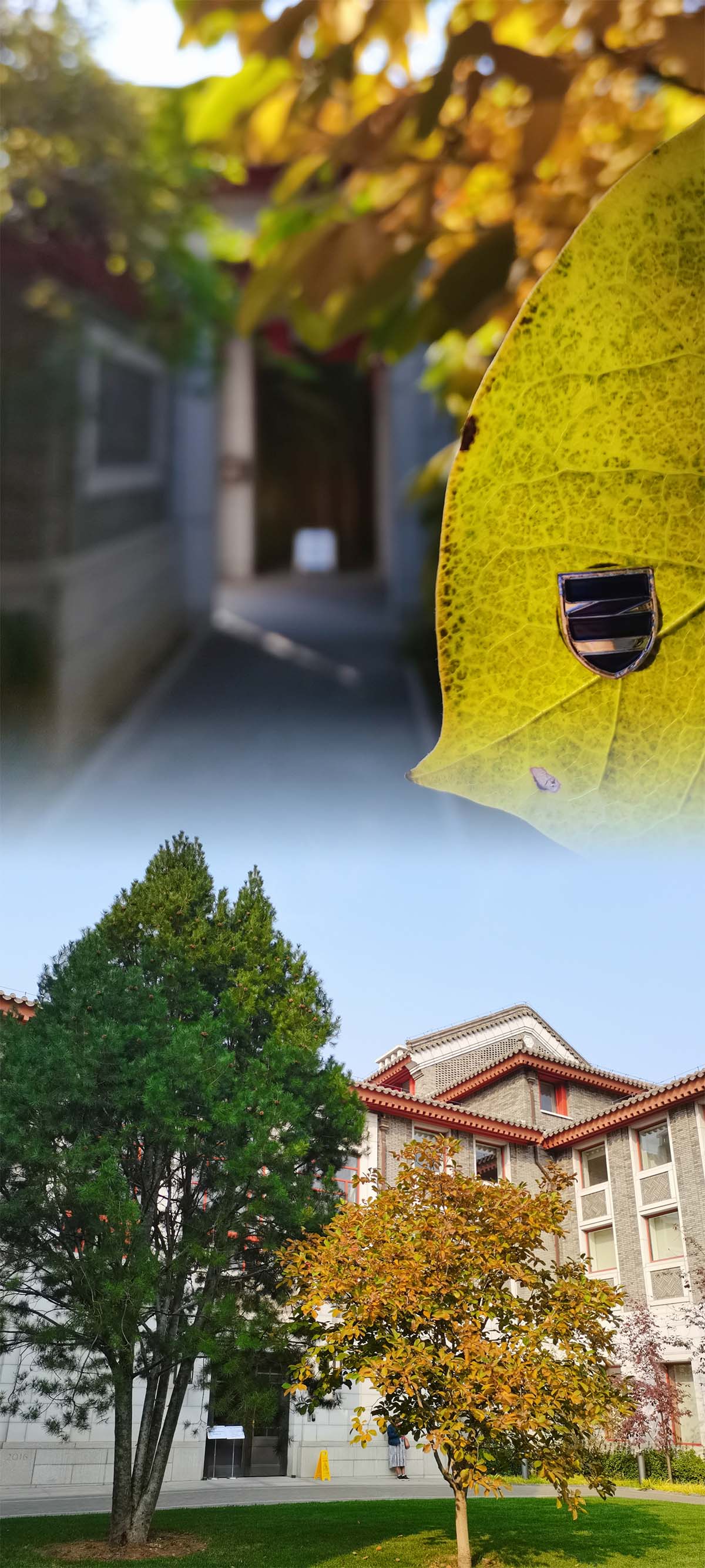 娱乐场