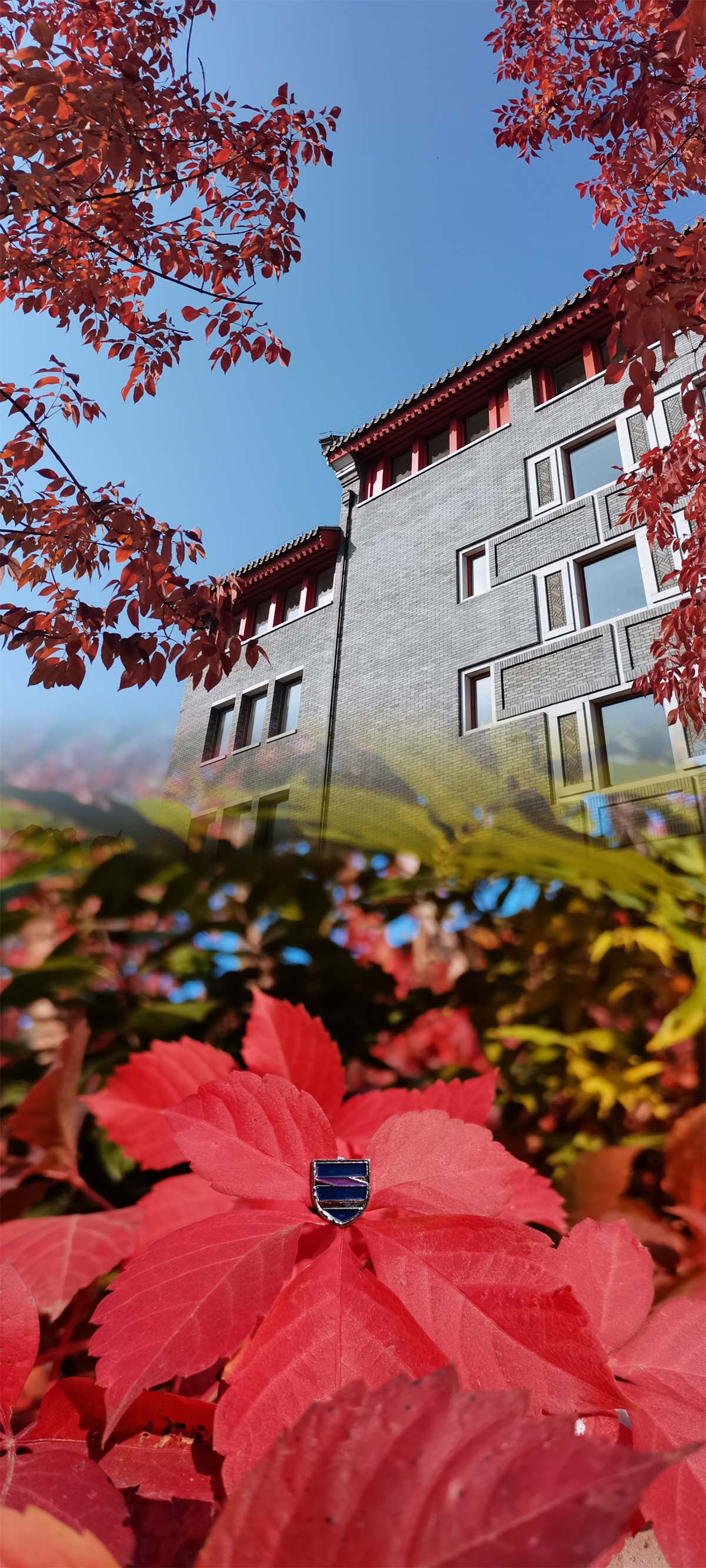 娱乐场